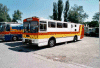 Svenibus